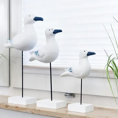 Haus Zur Möwe Mit Frühstücksoption * Bensersiel